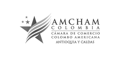 Amcham Logo