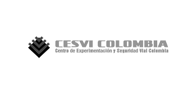 Cesvi Logo